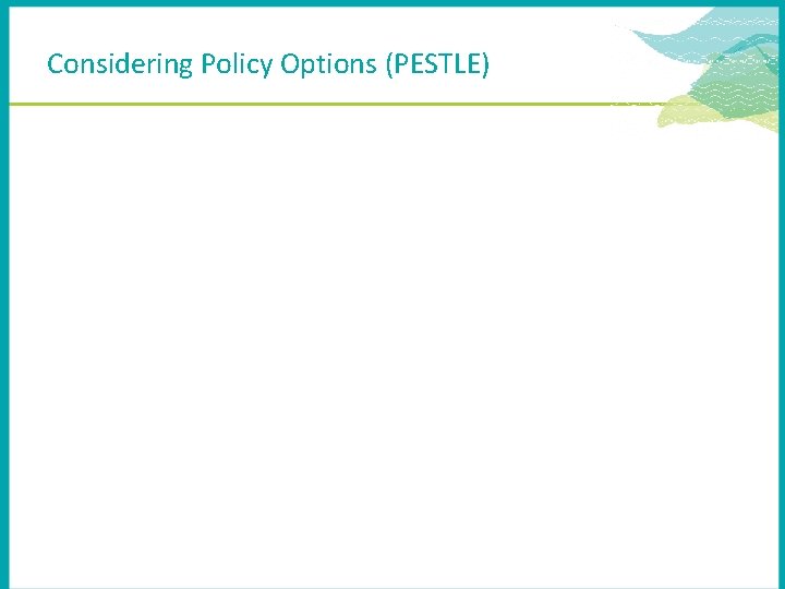 Considering Policy Options (PESTLE) 