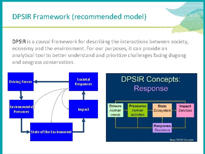 DPSIR Framework (recommended model) DPSIR is a causal framework for describing the interactions between