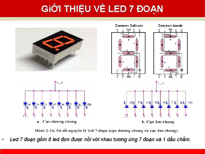 GiỚI THIỆU VỀ LED 7 ĐOẠN • Led 7 đoạn gồm 8 led đơn