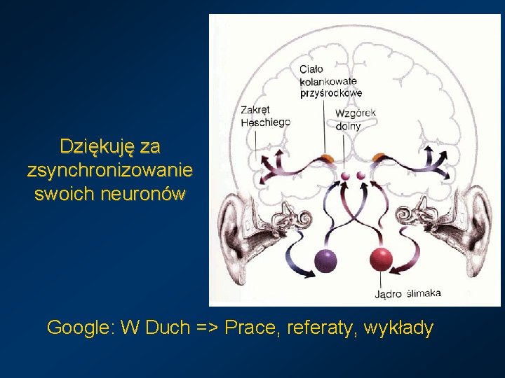 Dziękuję za zsynchronizowanie swoich neuronów Google: W Duch => Prace, referaty, wykłady 