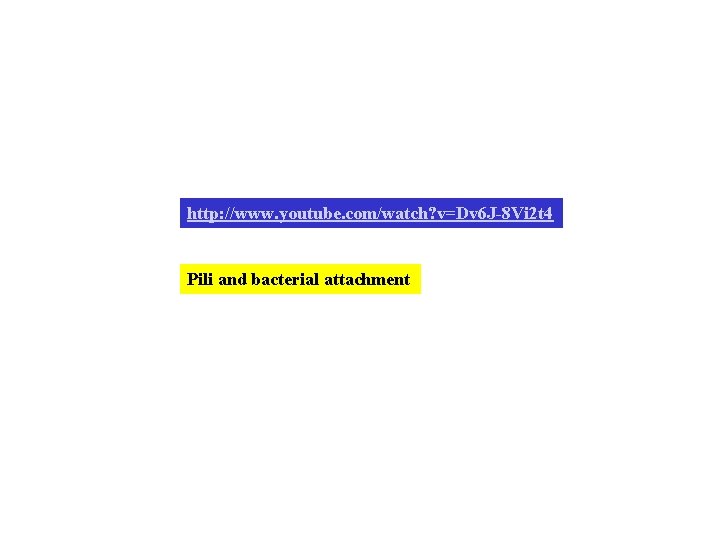 http: //www. youtube. com/watch? v=Dv 6 J-8 Vi 2 t 4 Pili and bacterial