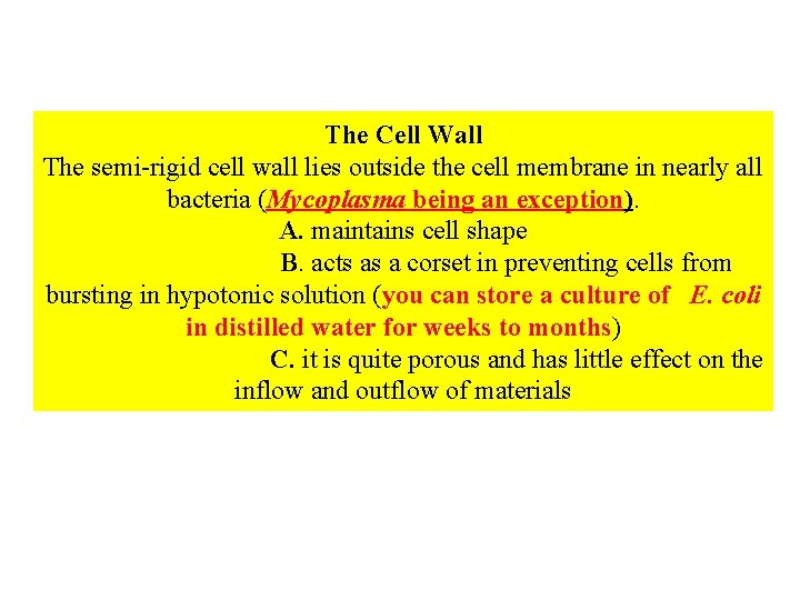 The Cell Wall The semi-rigid cell wall lies outside the cell membrane in nearly