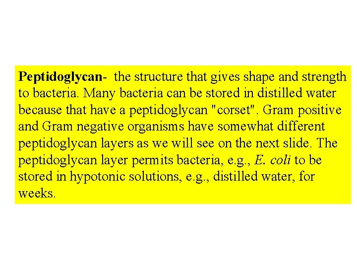 Peptidoglycan- the structure that gives shape and strength to bacteria. Many bacteria can be
