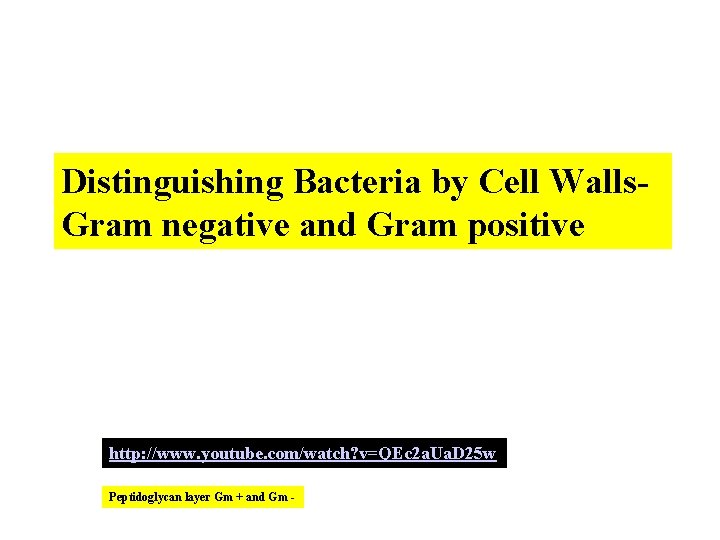 Distinguishing Bacteria by Cell Walls. Gram negative and Gram positive http: //www. youtube. com/watch?