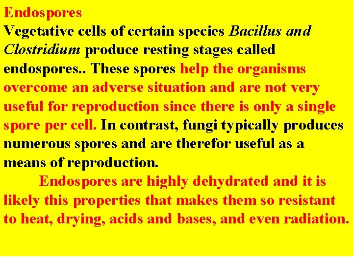 Endospores Vegetative cells of certain species Bacillus and Clostridium produce resting stages called endospores.