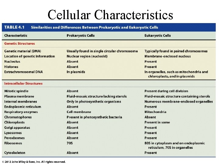 Cellular Characteristics 