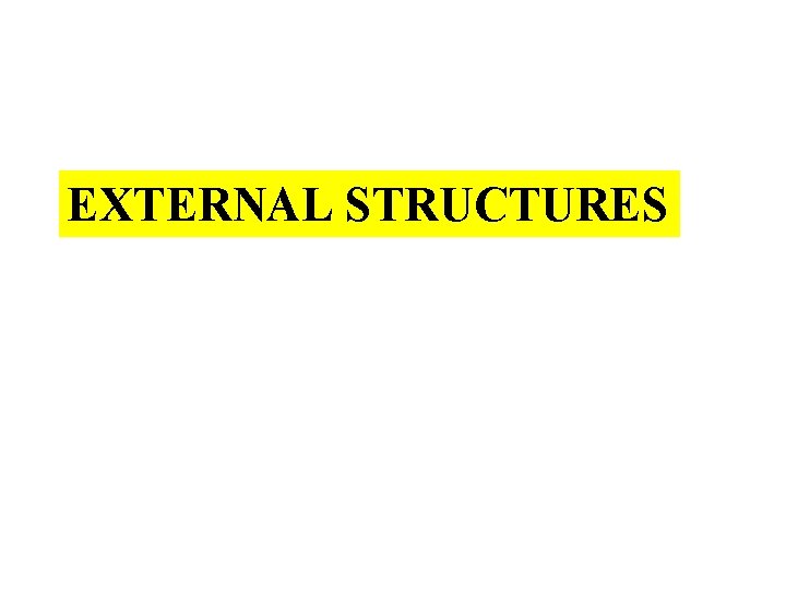 EXTERNAL STRUCTURES 