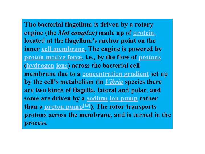 The bacterial flagellum is driven by a rotary engine (the Mot complex) made up