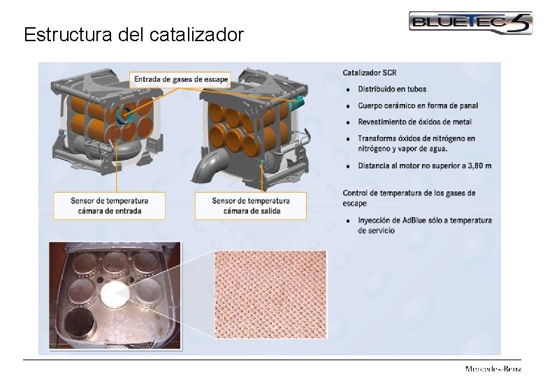 Estructura del catalizador 