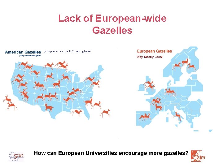 Lack of European-wide Gazelles jump across the U. S. and globe Stay Mostly Local