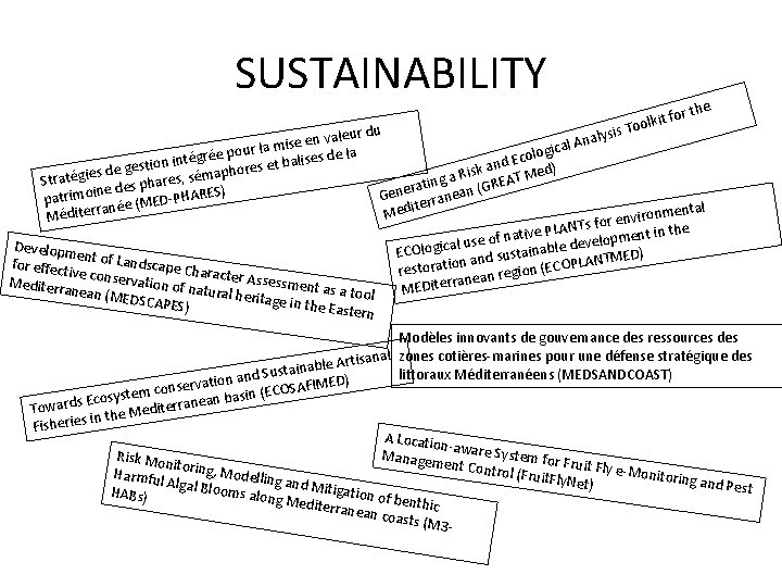 SUSTAINABILITY the t for i k l o o ysis T leur du l