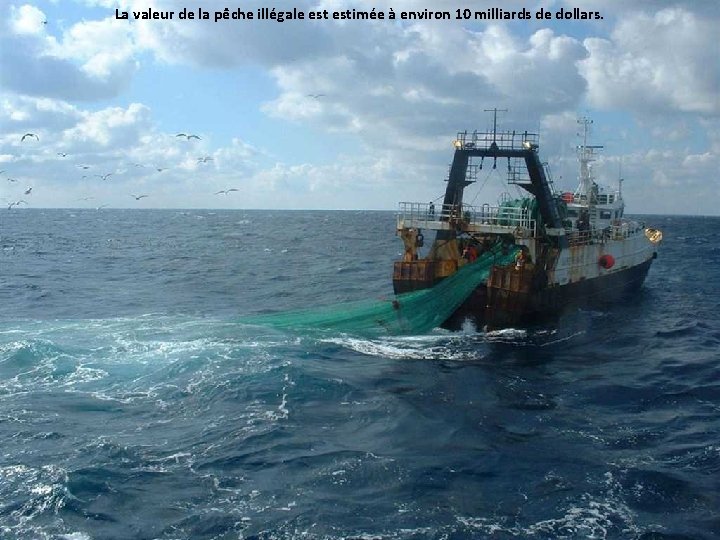 La valeur de la pêche illégale estimée à environ 10 milliards de dollars. 