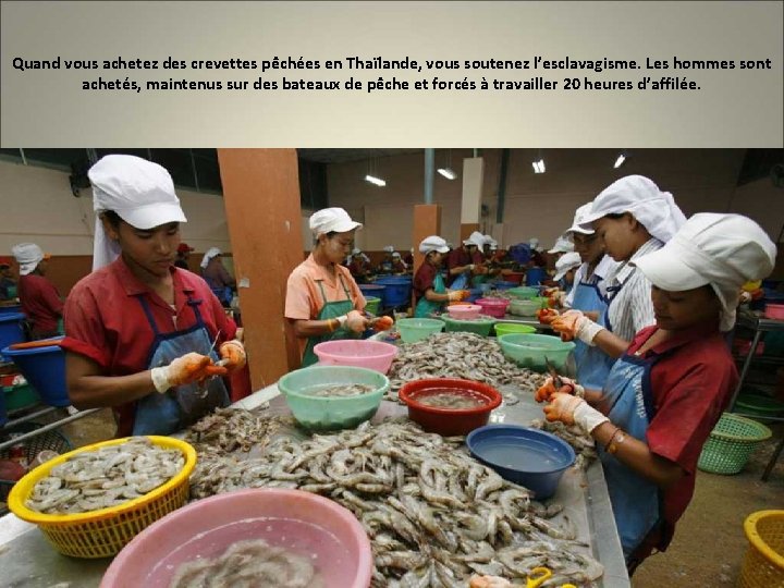 Quand vous achetez des crevettes pêchées en Thaïlande, vous soutenez l’esclavagisme. Les hommes sont