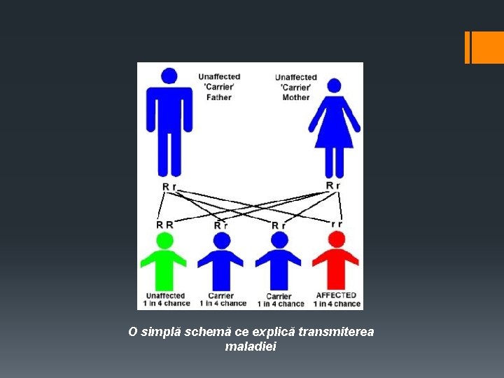 O simplă schemă ce explică transmiterea maladiei 