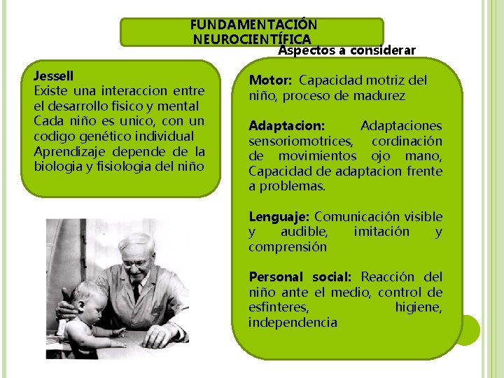  FUNDAMENTACIÓN NEUROCIENTÍFICA Aspectos a considerar Jessell Existe una interaccion entre el desarrollo fisico