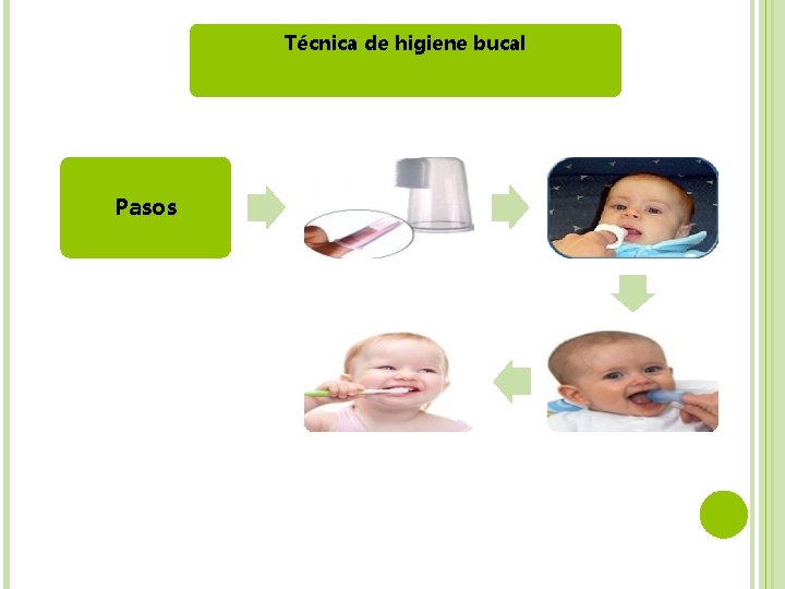 Técnica de higiene bucal Pasos 