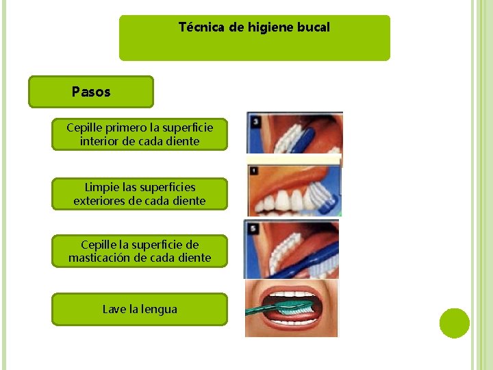 Técnica de higiene bucal Pasos Cepille primero la superficie interior de cada diente Limpie Técnica de higiene bucal Pasos Cepille primero la superficie interior de cada diente Limpie