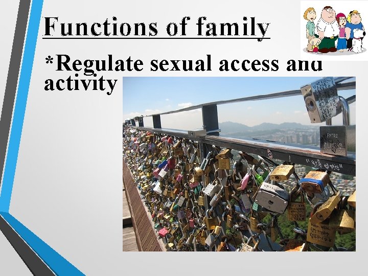 Functions of family *Regulate sexual access and activity 