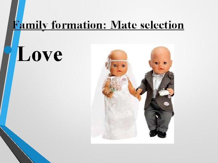 Family formation: Mate selection • Love 