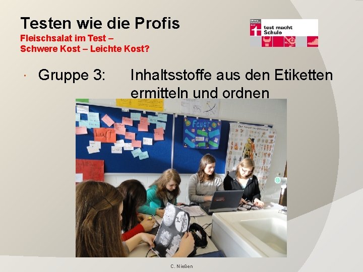 Testen wie die Profis Fleischsalat im Test – Schwere Kost – Leichte Kost? Gruppe