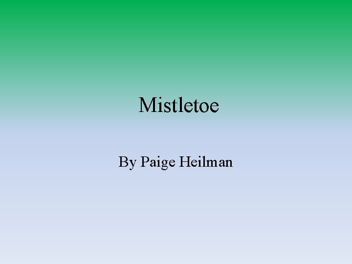 Mistletoe By Paige Heilman 
