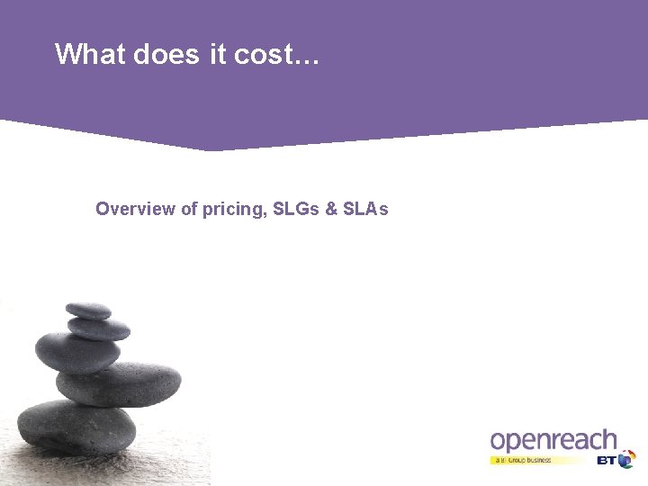 What does it cost… Overview of pricing, SLGs & SLAs 