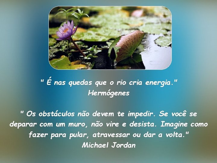 " É nas quedas que o rio cria energia. " Hermógenes " Os obstáculos
