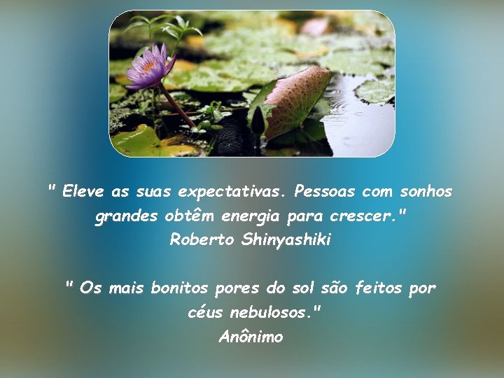 " Eleve as suas expectativas. Pessoas com sonhos grandes obtêm energia para crescer. "