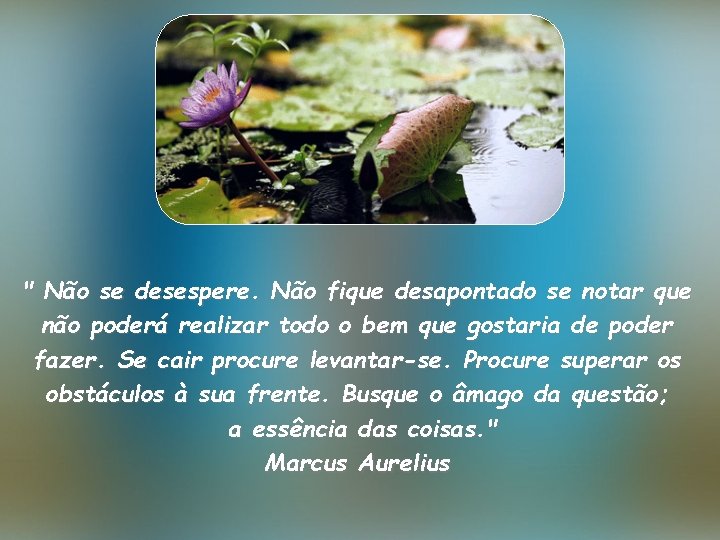 " Não se desespere. Não fique desapontado se notar que não poderá realizar todo