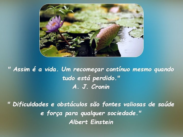 " Assim é a vida. Um recomeçar contínuo mesmo quando tudo está perdido. "