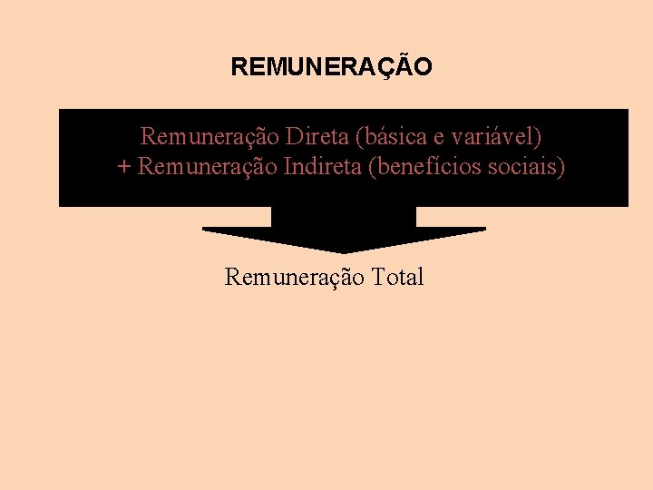 REMUNERAÇÃO Remuneração Direta (básica e variável) + Remuneração Indireta (benefícios sociais) Remuneração Total 