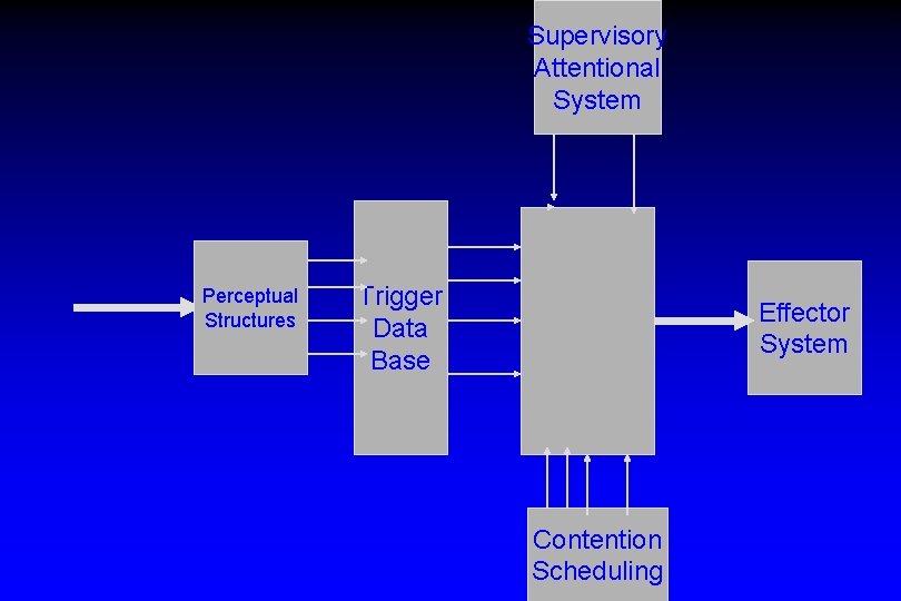 Supervisory Attentional System Perceptual Structures Trigger Data Base Effector System Contention Scheduling 