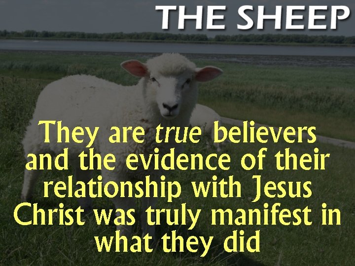 They are true believers and the evidence of their relationship with Jesus Christ was