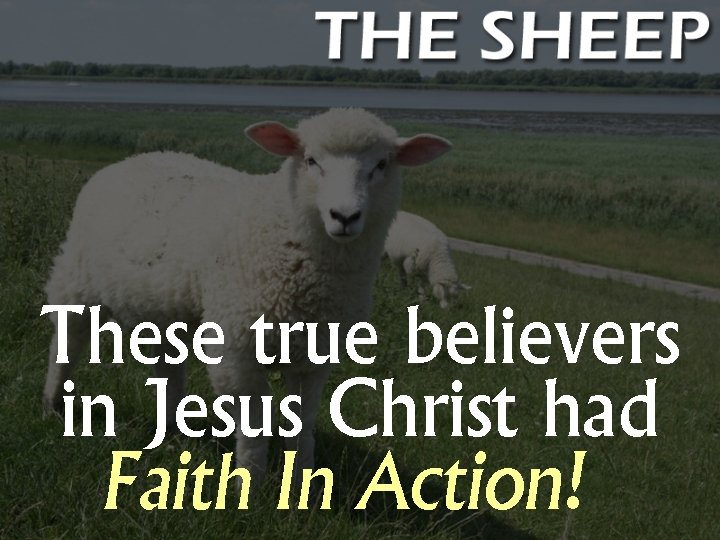 These true believers in Jesus Christ had Faith In Action! 