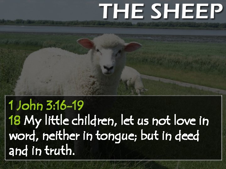 1 John 3: 16 -19 18 My little children, let us not love in