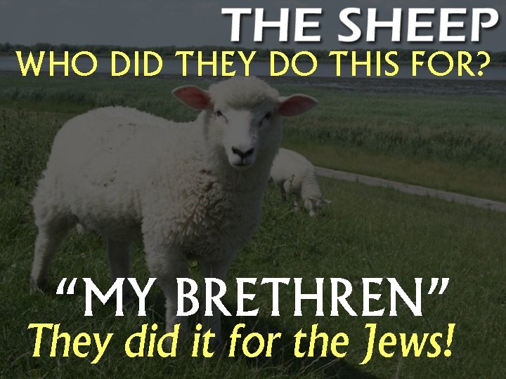 WHO DID THEY DO THIS FOR? “MY BRETHREN” They did it for the Jews!