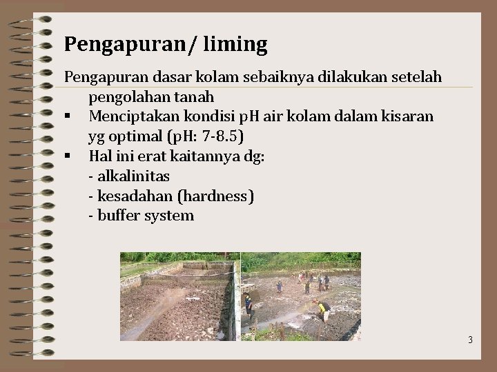 Pengapuran/ liming Pengapuran dasar kolam sebaiknya dilakukan setelah pengolahan tanah § Menciptakan kondisi p.