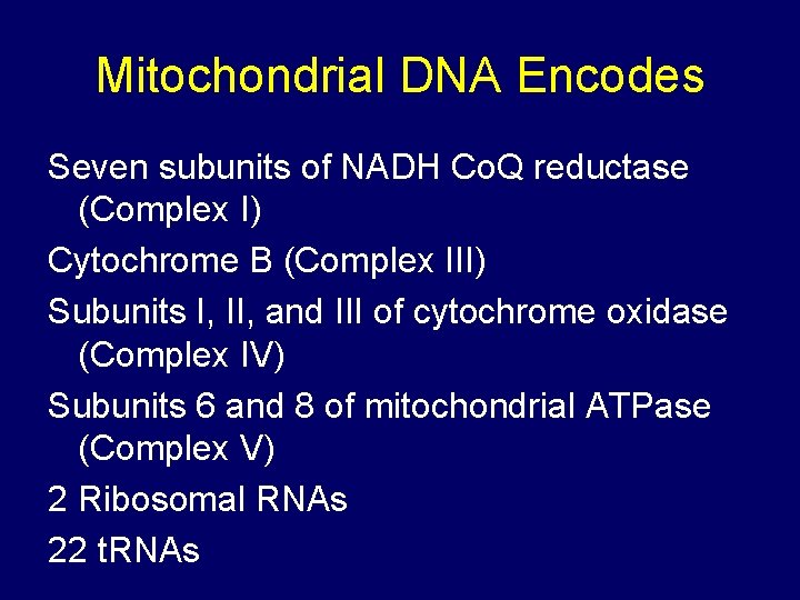 Mitochondrial DNA Encodes Seven subunits of NADH Co. Q reductase (Complex I) Cytochrome B