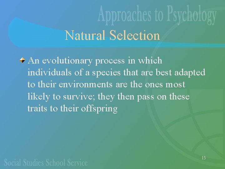 Natural Selection An evolutionary process in which individuals of a species that are best