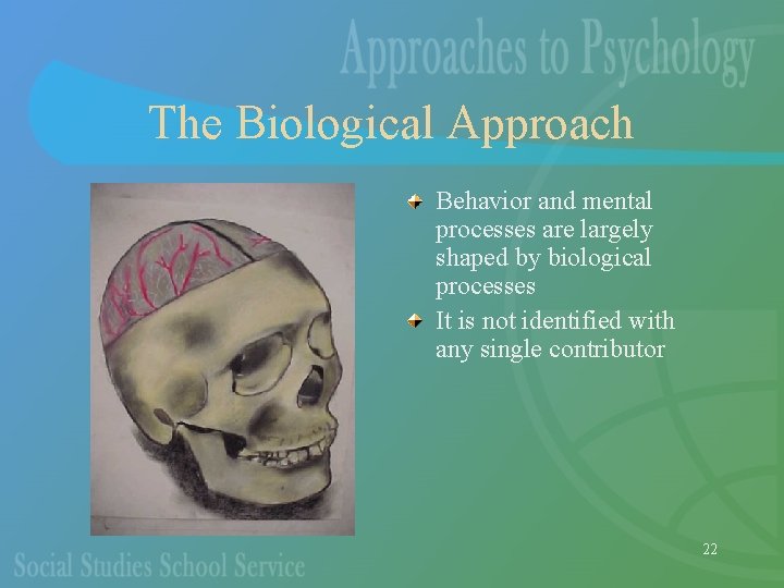 The Biological Approach Behavior and mental processes are largely shaped by biological processes It