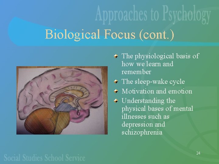 Biological Focus (cont. ) The physiological basis of how we learn and remember The