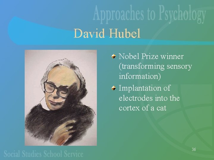 David Hubel Nobel Prize winner (transforming sensory information) Implantation of electrodes into the cortex
