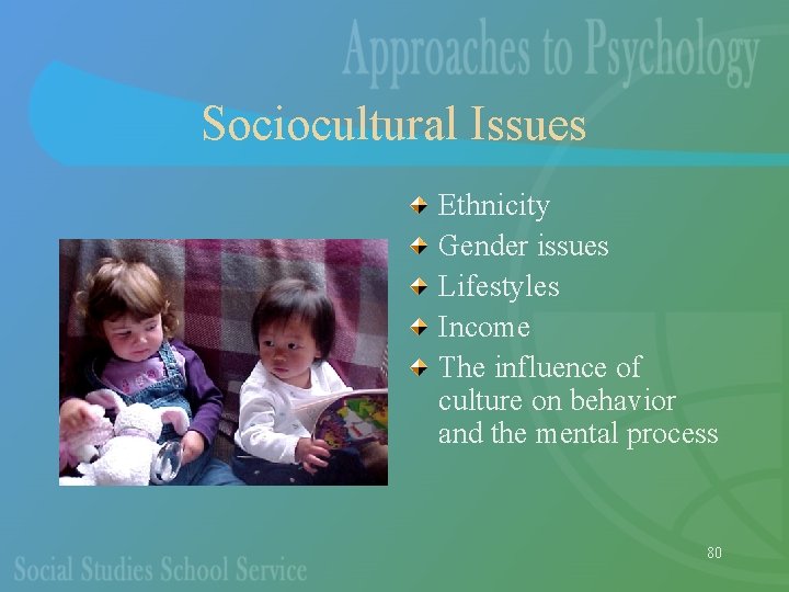 Sociocultural Issues Ethnicity Gender issues Lifestyles Income The influence of culture on behavior and