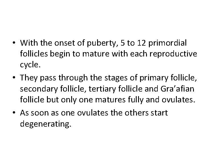  • With the onset of puberty, 5 to 12 primordial follicles begin to
