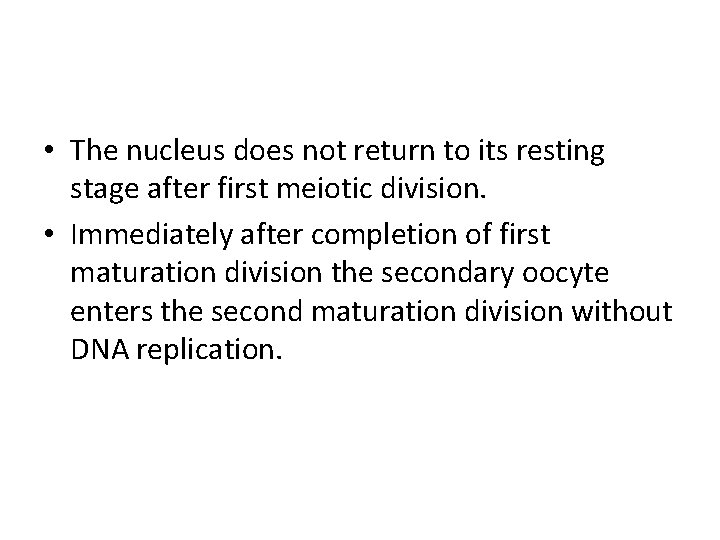  • The nucleus does not return to its resting stage after first meiotic