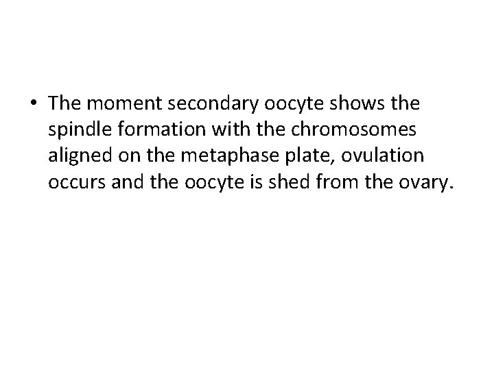  • The moment secondary oocyte shows the spindle formation with the chromosomes aligned