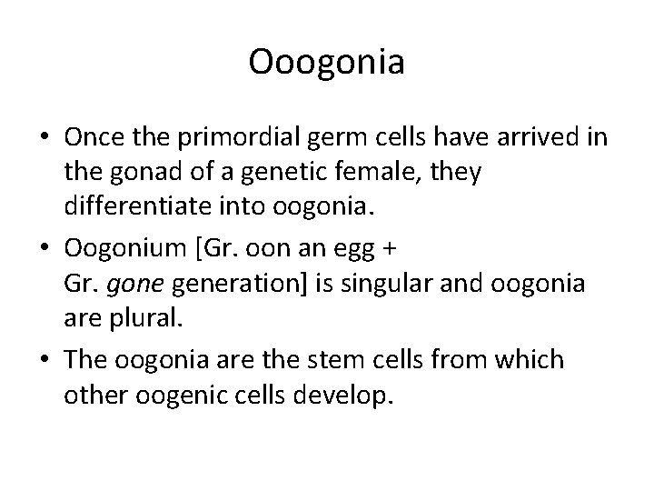 Ooogonia • Once the primordial germ cells have arrived in the gonad of a