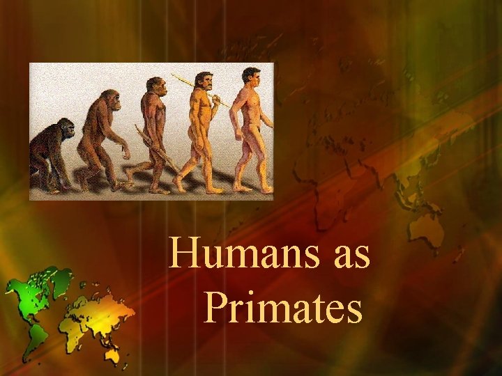 Humans as Primates 