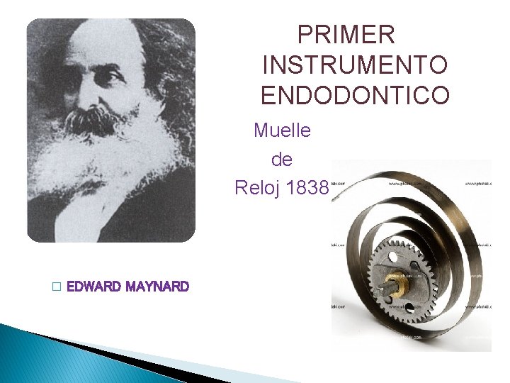 PRIMER INSTRUMENTO ENDODONTICO Muelle de Reloj 1838 � EDWARD MAYNARD 