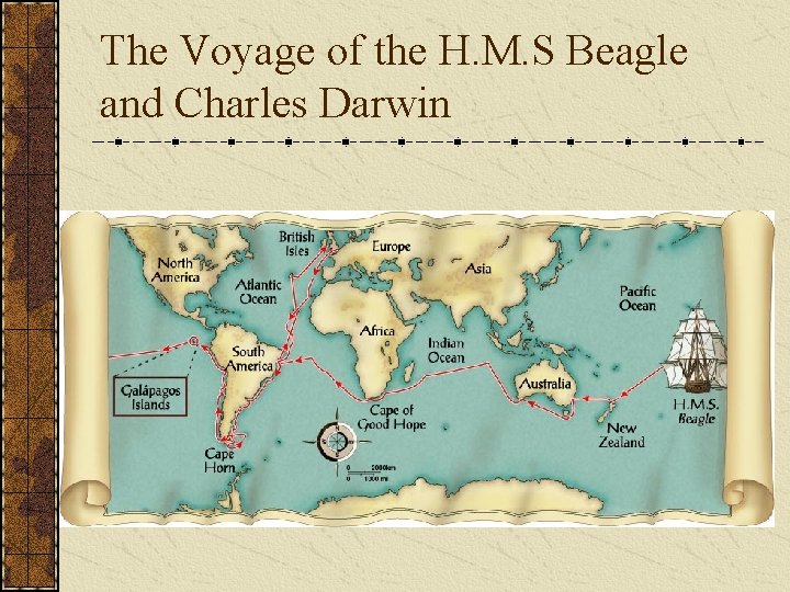 The Voyage of the H. M. S Beagle and Charles Darwin 